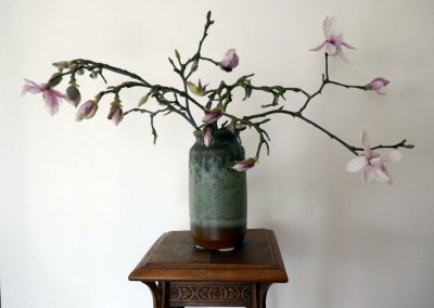 Magnolia on a green vase