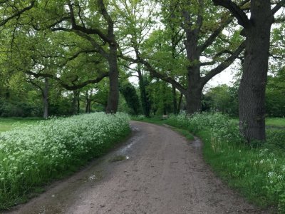 g12/22/530522/3/171666852.cniykt9h.jpg