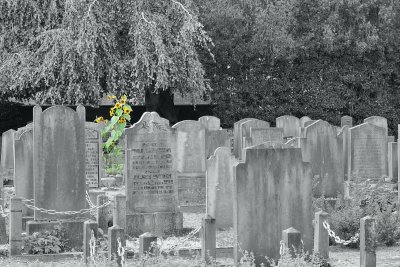 The colour of the grave is green