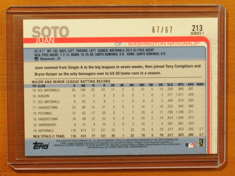 DSC_6592_soto.jpg
