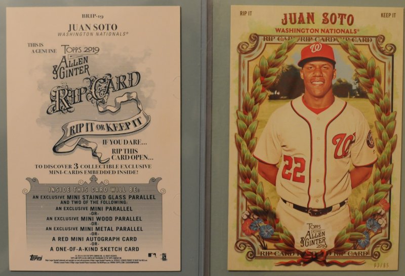 ginter_8076.JPG
