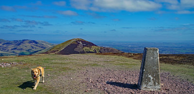 Pentland Hills walk with Ludo, 18/04/2020