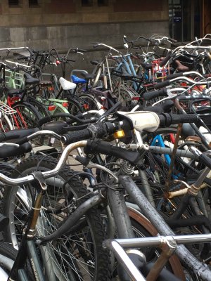 A Amsterdam, les vélos sont bien plus nombreux que les voitures