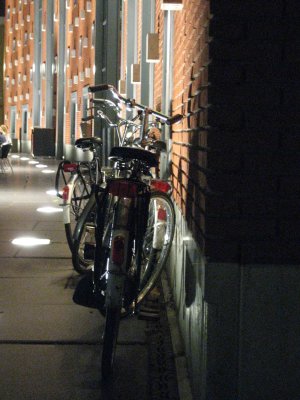 Aux Pays-Bas, il y a plus de vélos que d'habitants