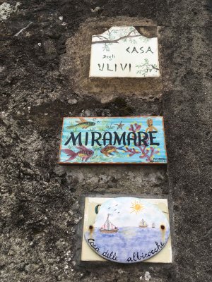 g12/22/749222/3/172687422.1AdEYPjK.jpg