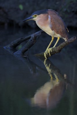 _D8A7618.jpg