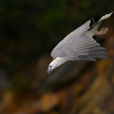 _D8C8230 (1).jpg
