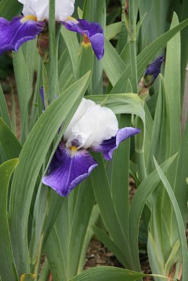IMG_8758.jpg