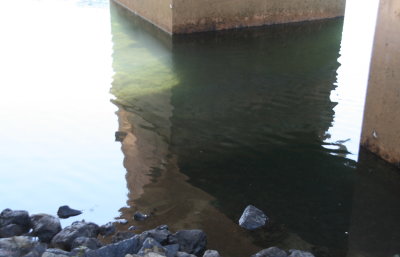 IMG_4439.jpg