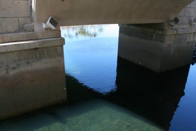 IMG_4420.jpg