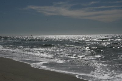 IMG_1884.jpg