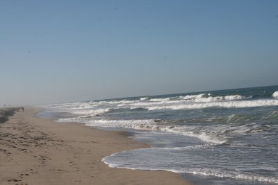 IMG_0467-0.jpg