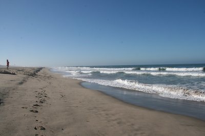 IMG_0470-0.jpg