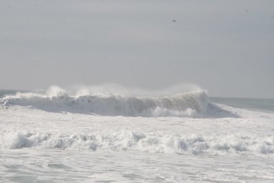IMG_2927-0.jpg
