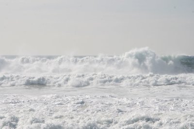 IMG_2749-0.jpg