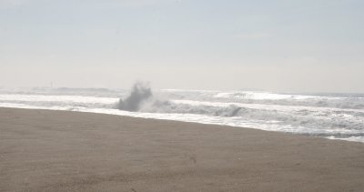 IMG_2713-0.jpg
