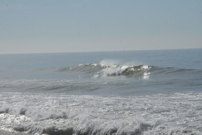 IMG_2511-0.jpg