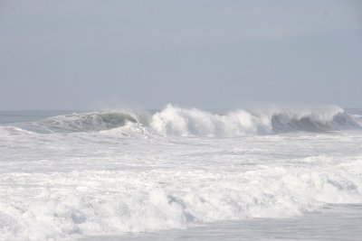 IMG_2495-0.jpg