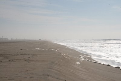 IMG_2382-0.jpg