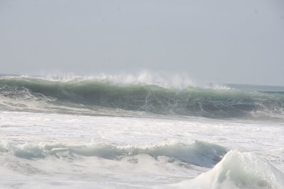 IMG_2507-0.jpg