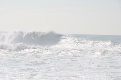 IMG_2462-0.jpg