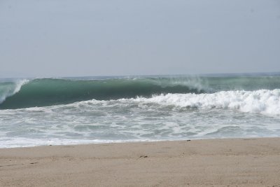 IMG_2113-0.jpg
