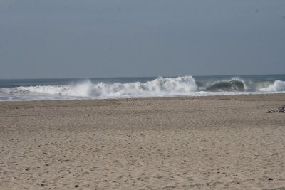 IMG_2061-0.jpg