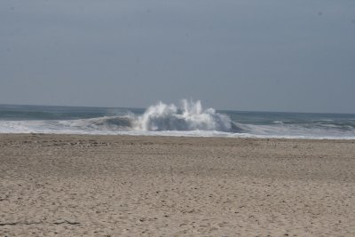 IMG_2050-0.jpg