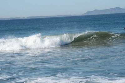 IMG_6473-0.jpg