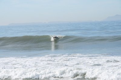 IMG_2401.jpg
