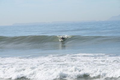 IMG_2400.jpg