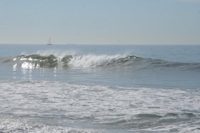 IMG_2435-0.jpg