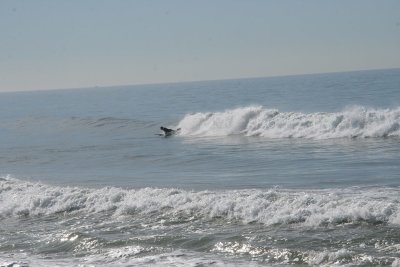 IMG_2472-0.jpg