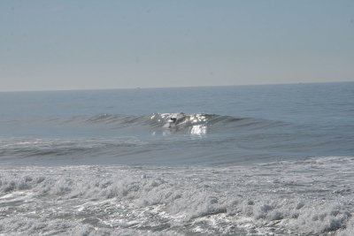 IMG_2508-0.jpg