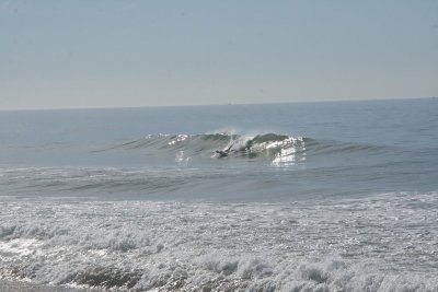 IMG_2510-0.jpg