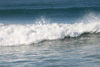 IMG_6298-0.jpg