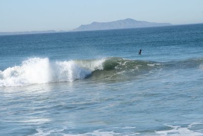 IMG_6474-0.jpg