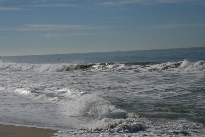 IMG_2051-0.jpg
