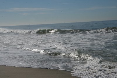 IMG_2050-0.jpg