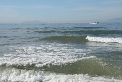 IMG_2048-0-.jpg