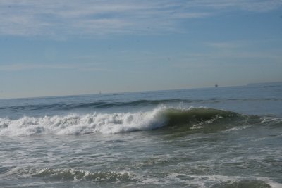 IMG_2039-0.jpg