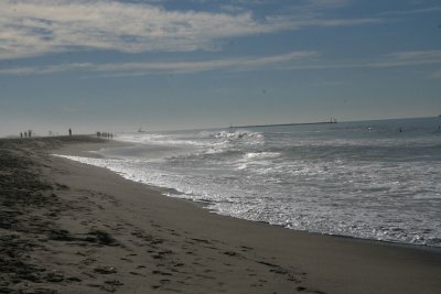 IMG_2037 -0.jpg