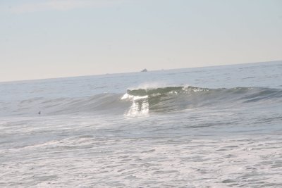IMG_2024-0.jpg
