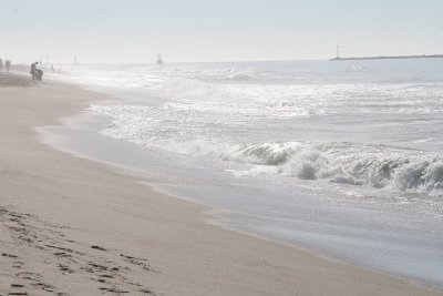 IMG_2010-0.jpg