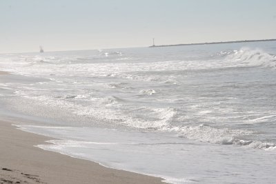 IMG_2004-0.jpg