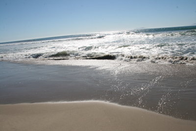 IMG_0073.jpg