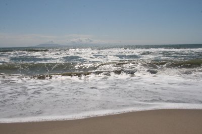 IMG_5658.jpg
