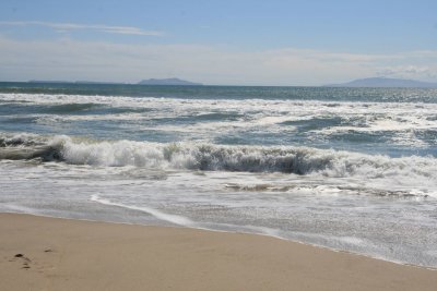 IMG_5817.jpg