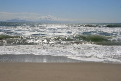 IMG_5844.jpg