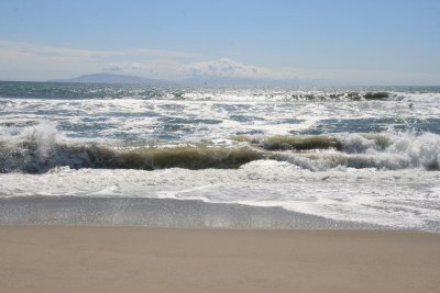 IMG_5845.jpg